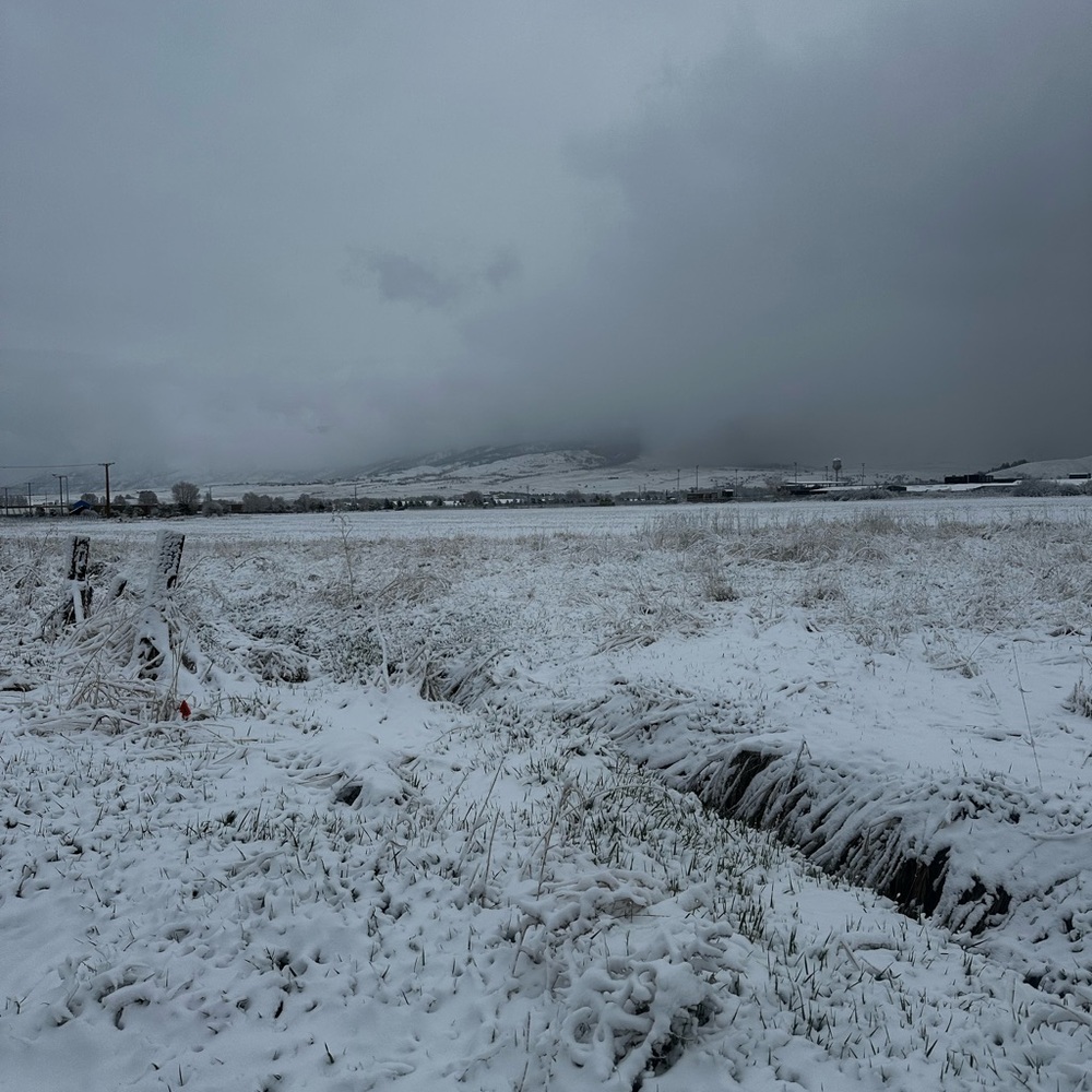 Meet your Posher, William I’m a guy so yeah? Any questions feel free and ask